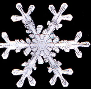Snowflake7