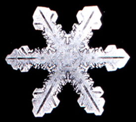 Snowflake9